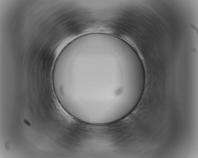 X0000099441344200806061035