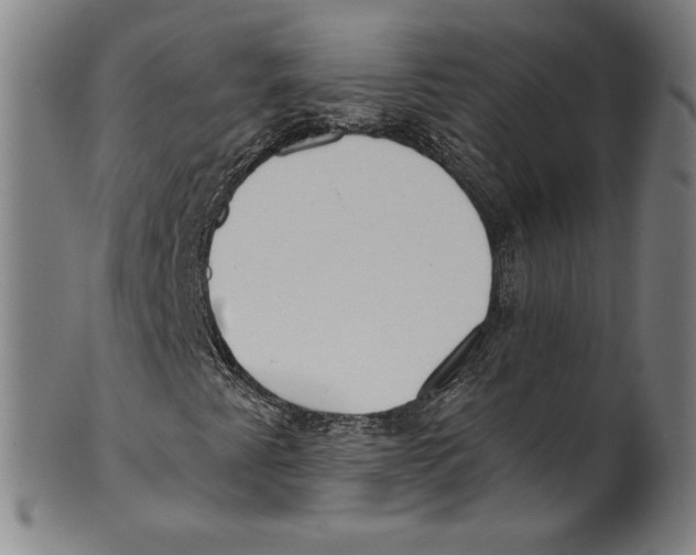 X0000099441345200806061034