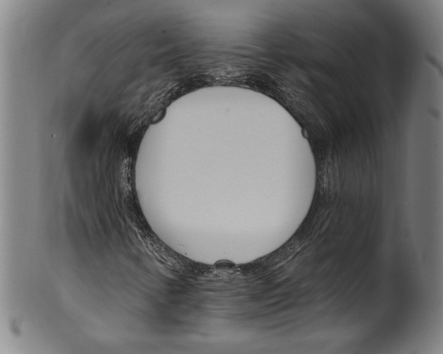 X0000099441346200806061034