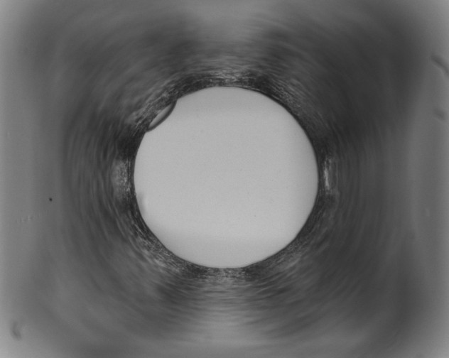 X0000099441347200806061034