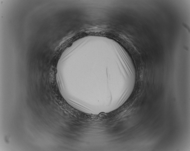 X0000099441350200806061034