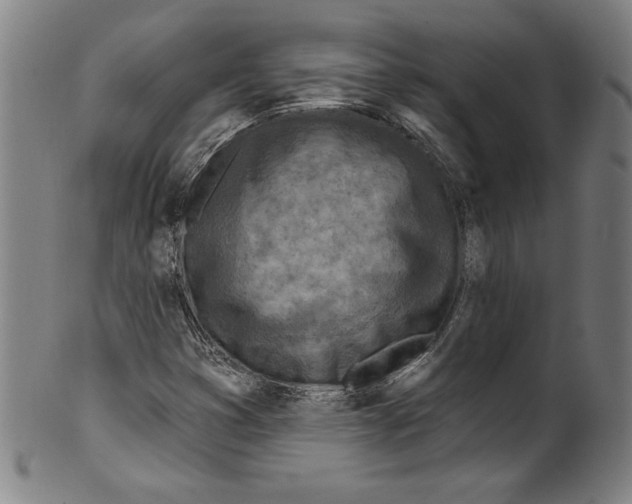 X0000099441353200806061034