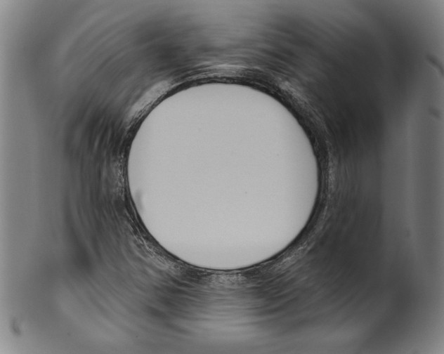 X0000099441354200806061034