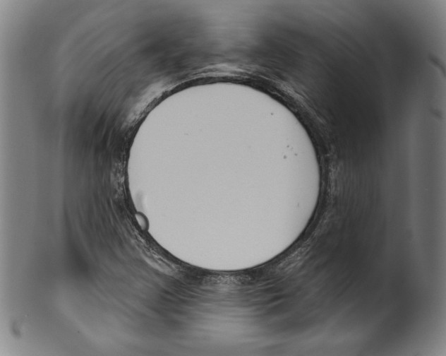 X0000099441355200806061034