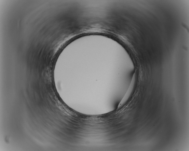 X0000099441356200806061034