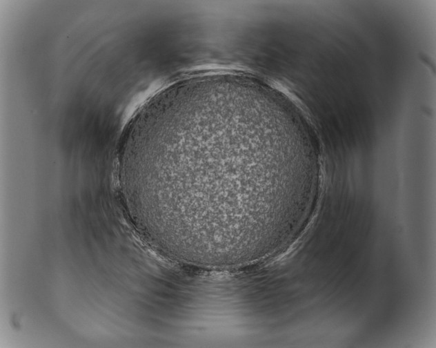 X0000099441357200806061034