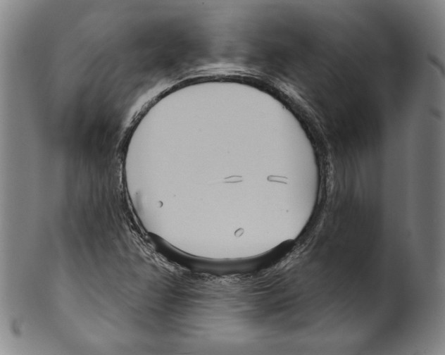 X0000099441358200806061034