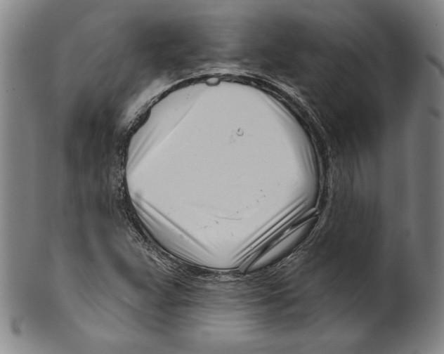 X0000099441359200806061033