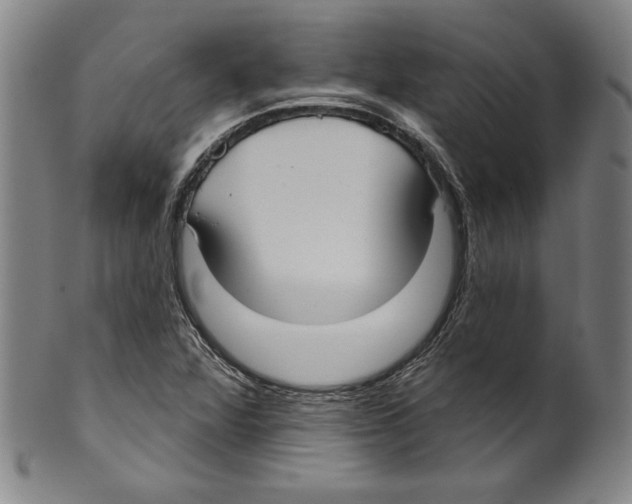 X0000099441360200806061033