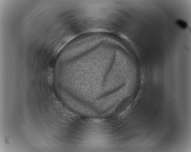 X0000099441361200806061033