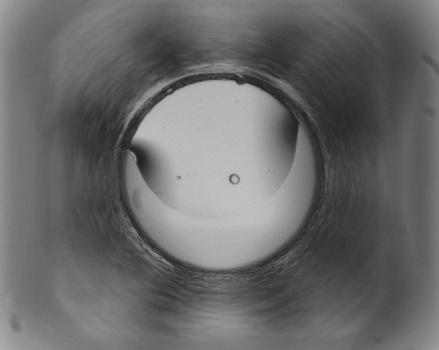 X0000099441364200806061033