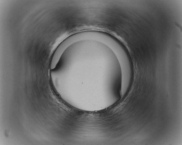 X0000099441365200806061033