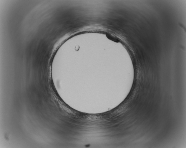 X0000099441366200806061033