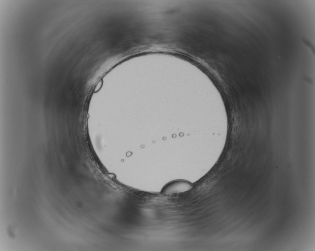 X0000099441367200806061033