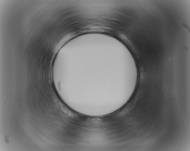 X0000099441370200806061033