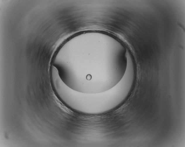 X0000099441372200806061033