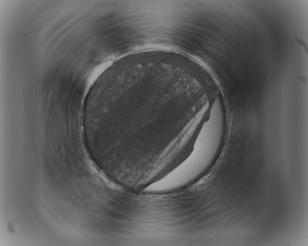 X0000099441373200806061033