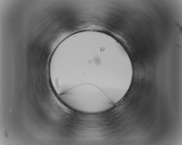 X0000099441375200806061033