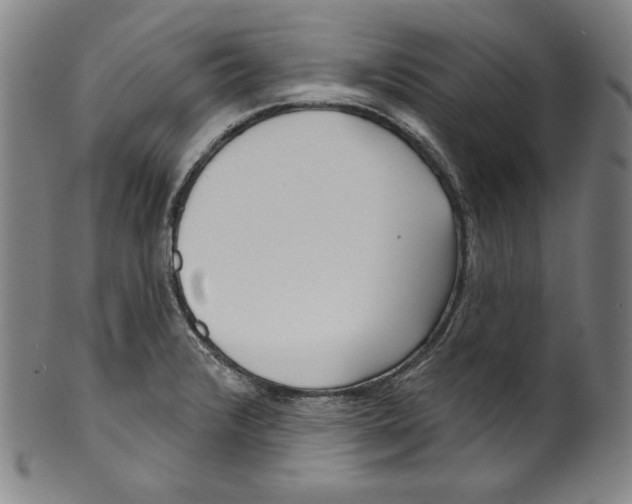 X0000099441376200806061033