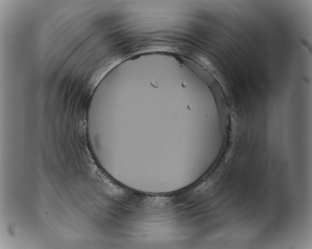 X0000099441377200806061033