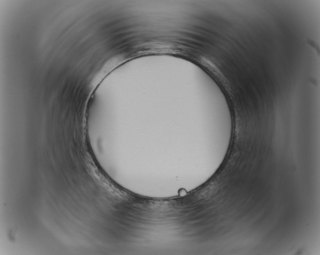 X0000099441378200806061033