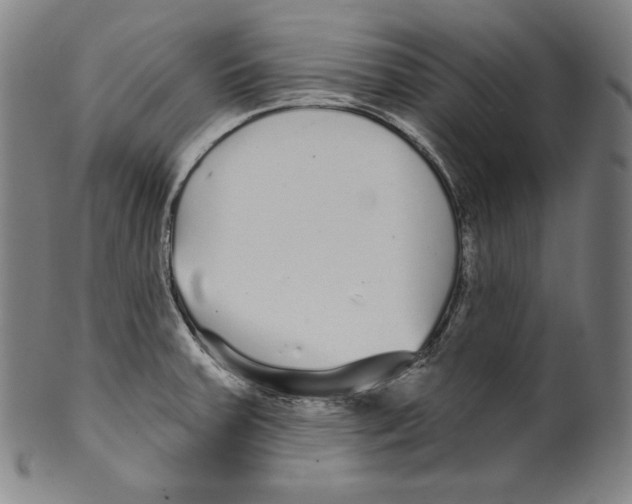 X0000099441379200806061033