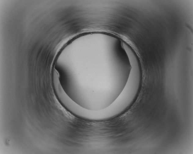 X0000099441380200806061033