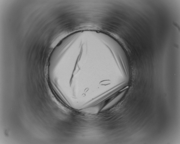 X0000099441383200806061033