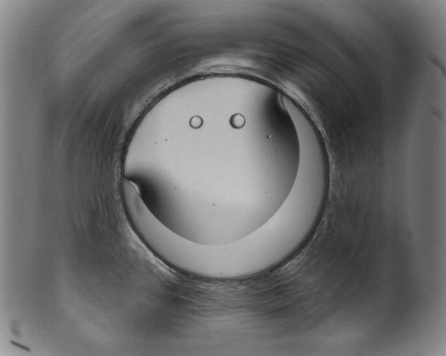 X0000099441384200806061033