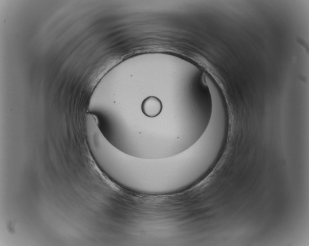 X0000099441385200806061033