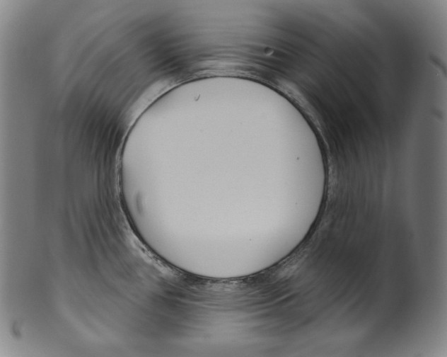 X0000099441386200806061033