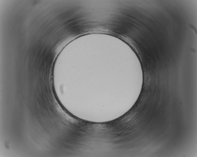 X0000099441387200806061033