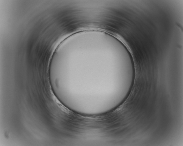 X0000099441388200806061033