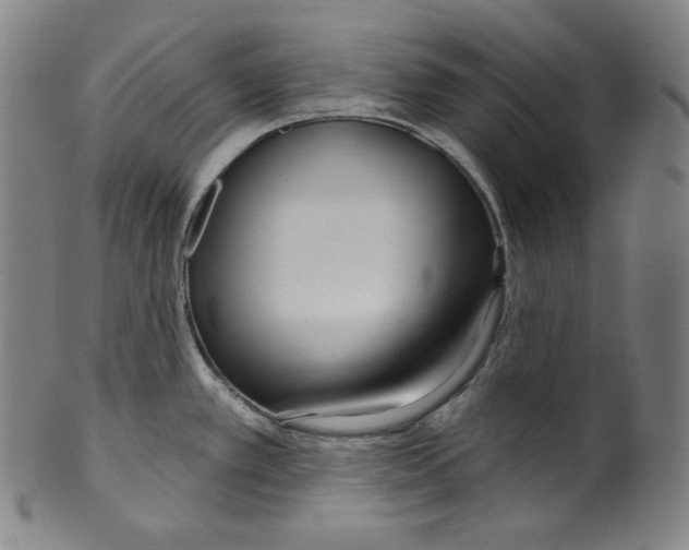 X0000099441389200806061033