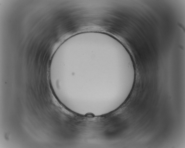 X0000099441390200806061033