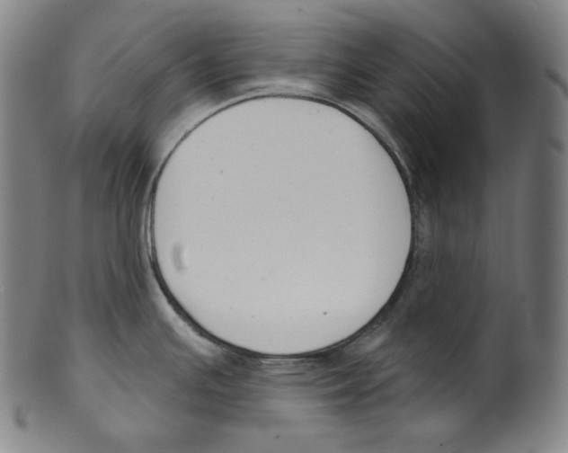 X0000099441391200806061033