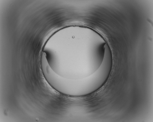 X0000099441392200806061033