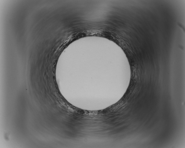 X0000099441393200806061032