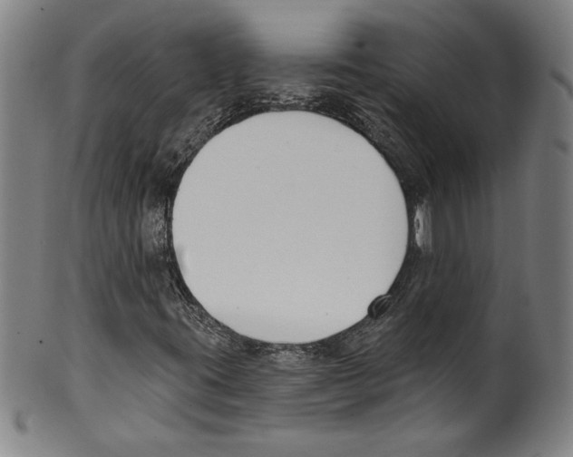 X0000099441395200806061032