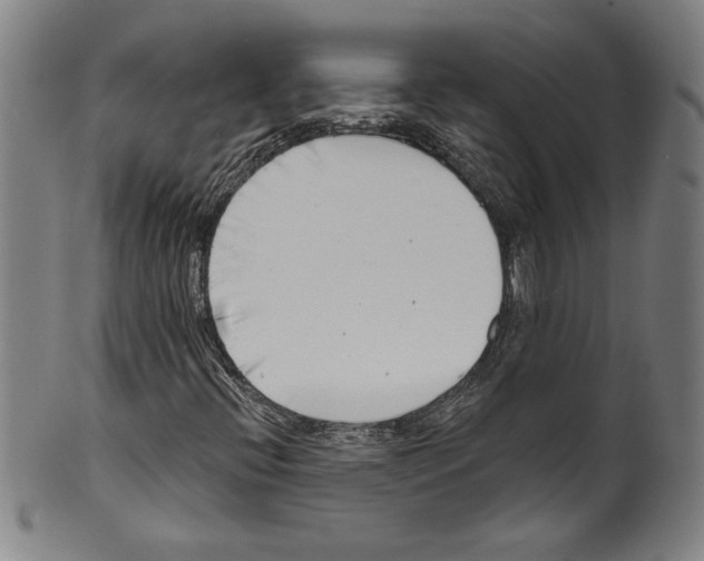 X0000099441396200806061032