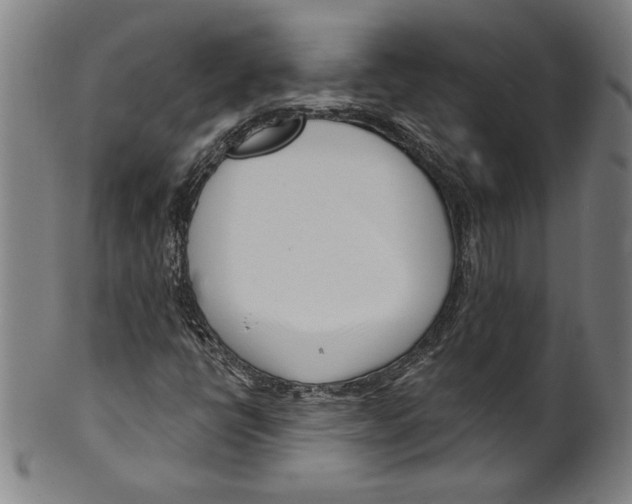 X0000099441398200806061032