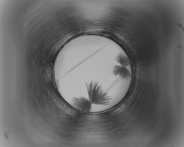 X0000099441401200806061032