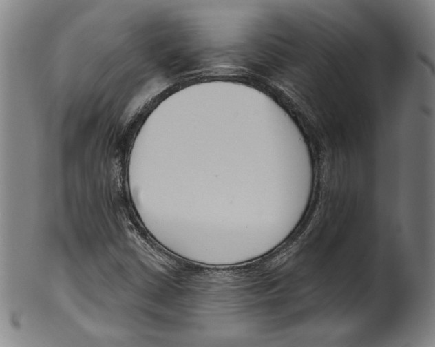 X0000099441402200806061032