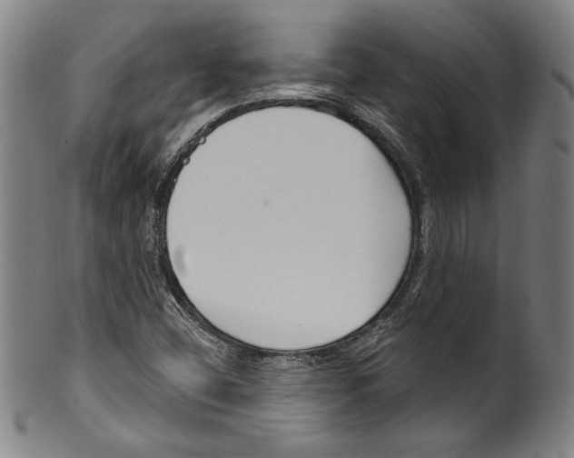 X0000099441404200806061033