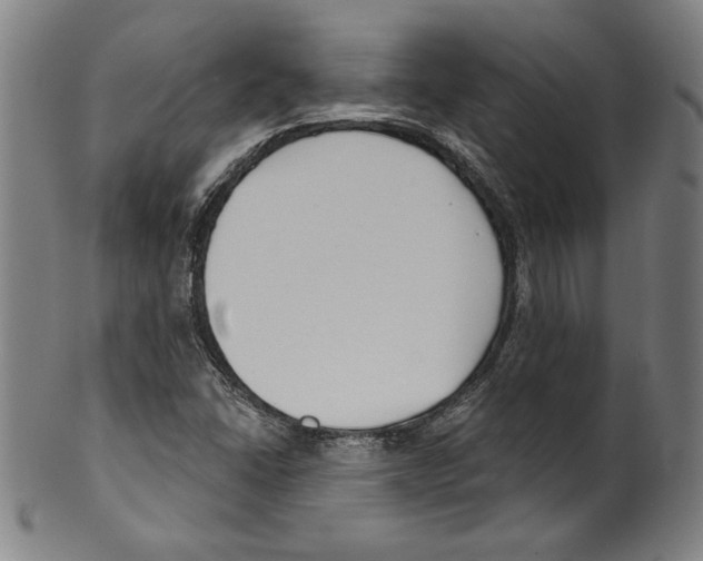 X0000099441406200806061033