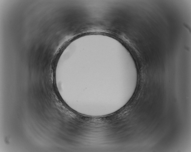 X0000099441408200806061033