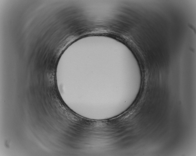 X0000099441409200806061033