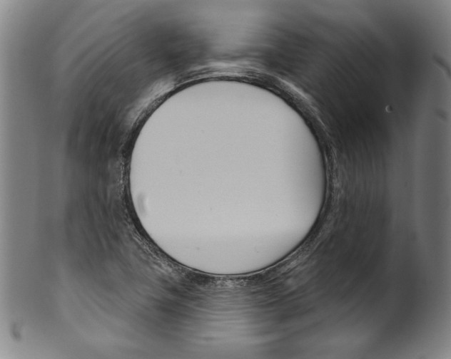 X0000099441411200806061033