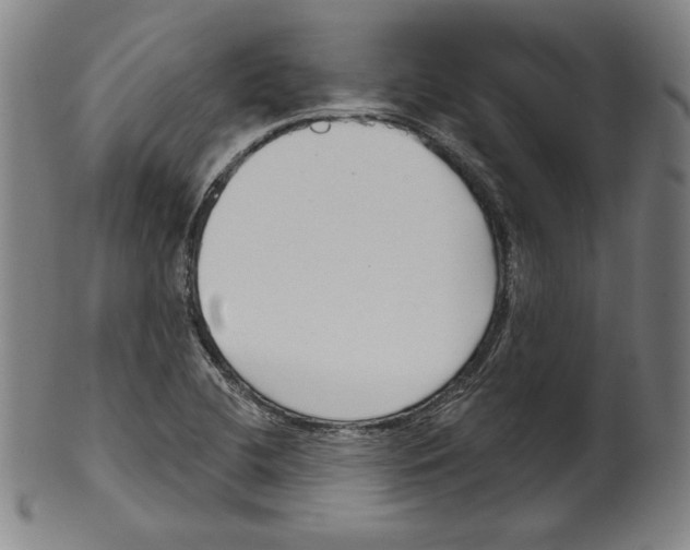 X0000099441412200806061033