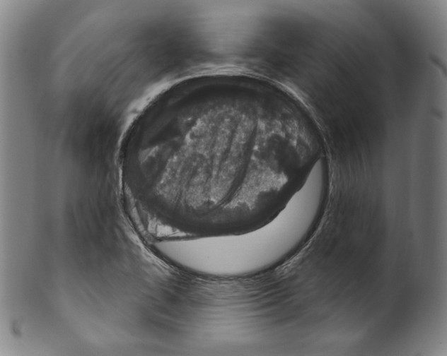 X0000099441414200806061033